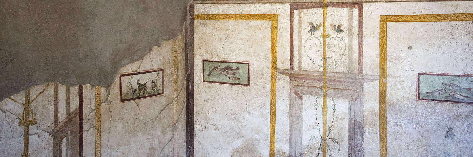 Metodo e strumenti di Minerva Restauri